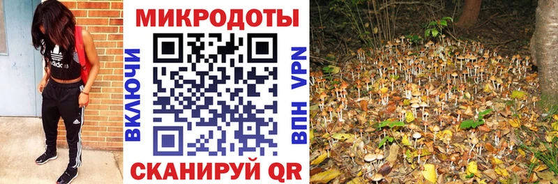 ссылка на мегу сайт  наркота  Усть-Джегута  Псилоцибиновые грибы Cubensis 