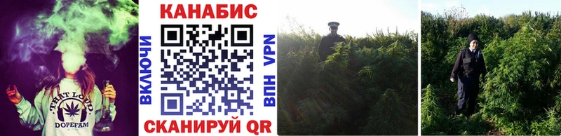 Шишки марихуана ГИДРОПОН  Усть-Джегута 